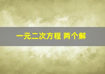 一元二次方程 两个解